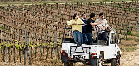 Foto 2 Lissabon Wein Tour mit 4WD Weinberge Erfahrung