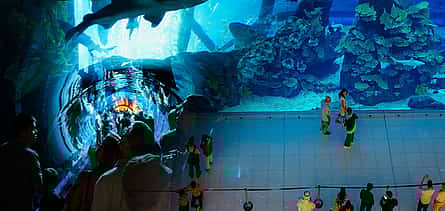 Photo 2 Burj Khalifa 124/125th floor visit, Dubai Mall shopping, Aquarium & Zoo tour & Desert Safari with BBQ Dinner