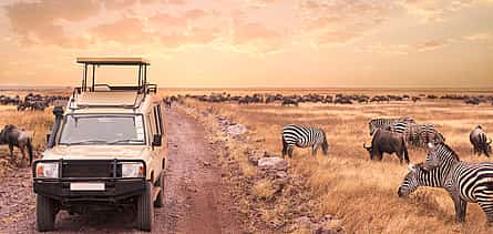 Photo 2 Overnight Safari at Aquila Game Reserve from Cape Town