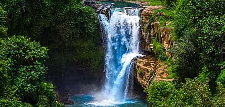 Photo 2 Bali: 1 Day Tour to Discover Waterfall - Sacred Temple - Coffee Plantation - Rice Terrace - Monkey Forest