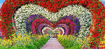 Photo 2 Miracle Garden Tour