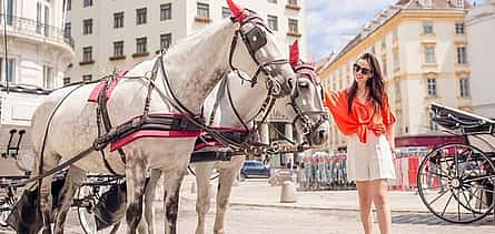 Photo 2 Vienna Private City Tour: Palaces, Churches & Sacher Cake Option