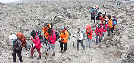 Photo 2 Kilimanjaro Luxury 7-day Hike