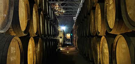 Foto 2 Weinverkostung in der Region Setúbal