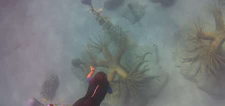 Photo 2 Snorkelling on MUSAN (underwater museum of Ayia Napa)