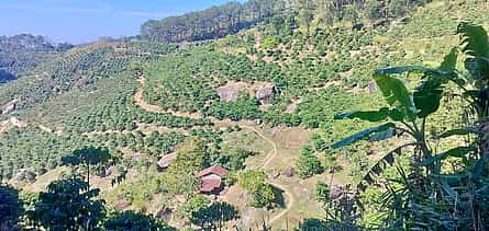 Photo 2 5 Days Authentic Dalat Coffee Farm & Hiking Experience