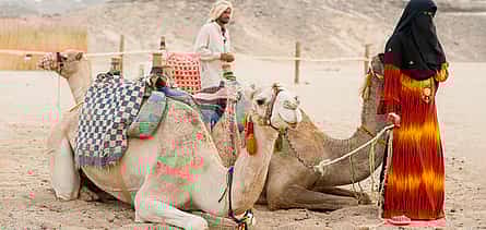 Photo 2 3-hour Desert Safari Quad Bike and Camel Ride in Hurghada