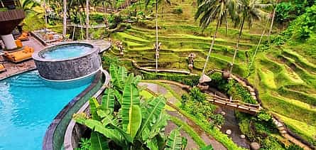 Photo 2 Ubud: Monkey Forest & Cretya Day Club