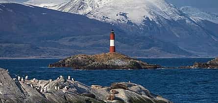 Photo 2 Ushuaia, Navigation Beagle Channel and Isla de Lobos - Half day