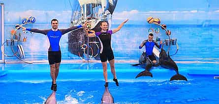 Photo 2 Pattaya: Dolphinarium Show