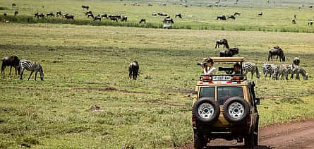 Foto 2 Excursión de día completo al cráter del Ngorongoro