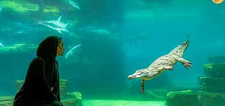 Photo 2 Dubai Crocodile Park, Dubai Mall Shopping, Burj Khalifa 124/125th Floor and Musical Fountain Show Visit with Private Transfers