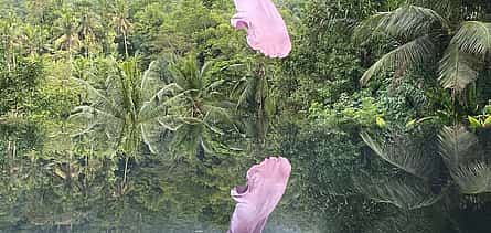 Photo 2 Ubud Swing & Waterfall Tour (Instagramable)