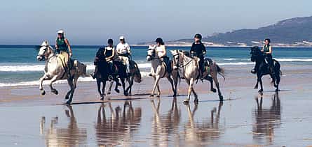 Photo 2 Seaside Horse Riding 60 minutes