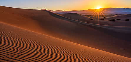 Foto 2 Safari privado matinal por el desierto