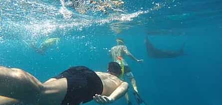 Photo 2 Nusa Penida Snorkeling Adventure