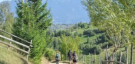 Photo 2 Small-Group Day Trip in Romanian Authentic Mountain Villages from Brasov