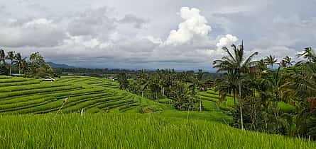 Photo 2 5-day Bali Package