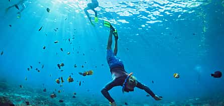 Photo 2 Swim with Manta Rays in Nusa Penida and Nusa Lembongan