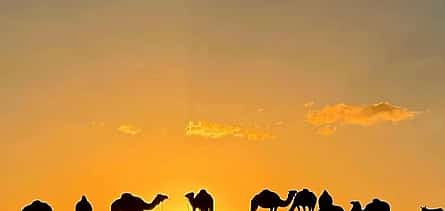 Photo 2 Marrakech: Agafay Desert Quad&Camel Rides, Sunset and Dinner Show