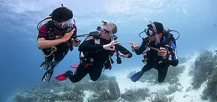 Photo 2 Dive Hurghada Rescue Course with PADI masters