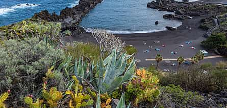 Photo 2 Gran Canaria The Red Canyon Small Group Tour with Tasting