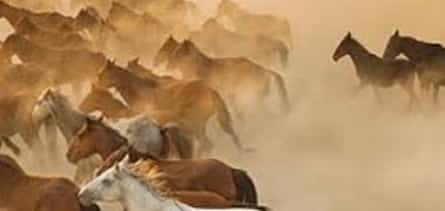 Photo 2 4 Days Landscape & Travel Photography Workshop Cappadocia