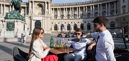 Photo 2 Vienna City Tour and Gourmet Dinner in a Classic Old-timer