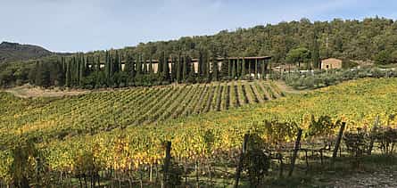 Photo 2 Chianti Classico with Lunch Half-day Private Tour from Florence