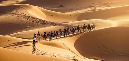 Фото 2 Сафари по пустыне Месаид