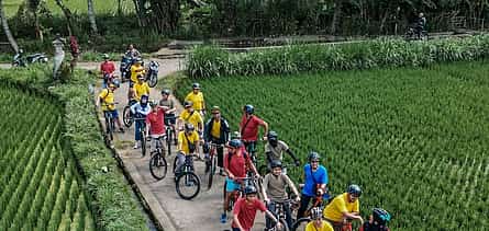Photo 2 Bali: Kintamani to Ubud Downhill Cycling