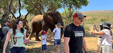 Photo 2 Elephant & Monkey Sanctuary Tour from Johannesburg