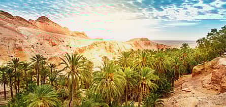 Photo 2 5-Day Desert & Heritage Adventure in Tunisia from Douz