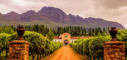 Photo 2 Private Full-day Stellenbosch or Franschhoek or Paarl Wine Tour from Cape Town