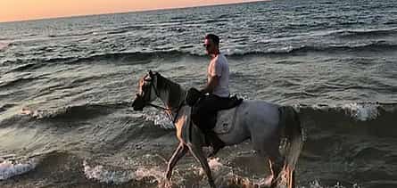Photo 2 Seaside Horse Riding