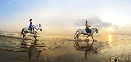 Фото 2 Конные прогулки по пляжу Риамбель