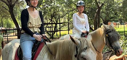 Photo 2 Horseback Safari from Johannesburg