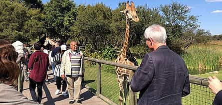 Photo 2 Lion Safari Park Johannesburg Tour