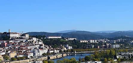 Photo 2 Private Day Trip From Porto To Aveiro & Coimbra, Local Driver