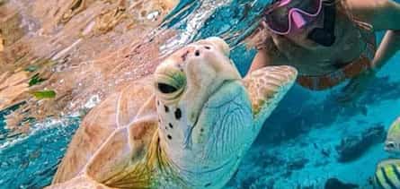 Photo 2 Bali: Blue Lagoon Spectacular Snorkling