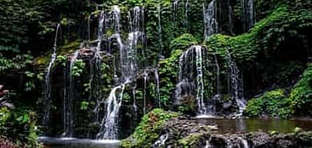 Photo 2 Wanagiri Hidden Hills, Waterfall, and Temples Tour