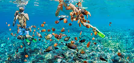 Photo 2 Luxury Catamaran Full-day Bali Experience
