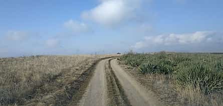 Photo 2 Discover Vashlovani: A Scenic Day Tour from Tbilisi