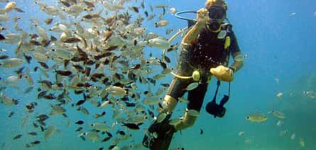 Photo 2 Scuba Diving Tour and Experience in Alanya