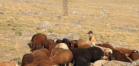 Photo 2 3-day Armenia Discovery Tour