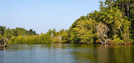 Фото 2 River Madu Nature Safari