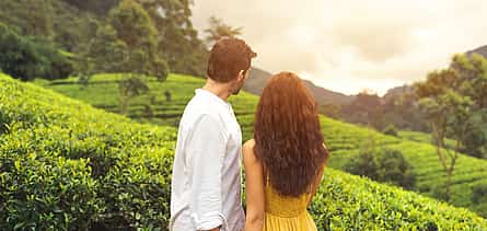 Photo 2 For Couples: Full-day Tea Route with Tea&Rum Tastings