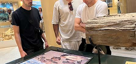 Photo 2 Full Day Fayoum Oasis and Waterfalls of Wadi El Rayan Tour from Cairo