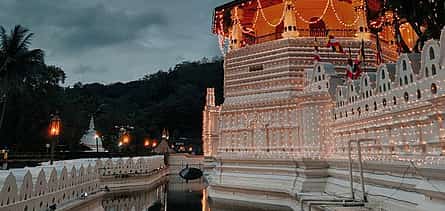 Photo 2 From Kandy: Sigiriya Rock and Village Safari Day Trip