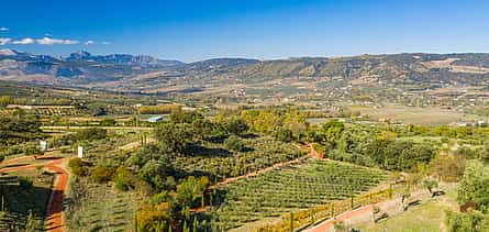 Photo 2 Ronda and Olive Oil Tasting: Small Group Day Trip from Malaga